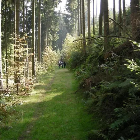 In In The Southern Eifel Casa vacanze *